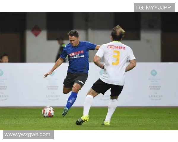 小白狼是否能成为足球明星的潜力与挑战分析