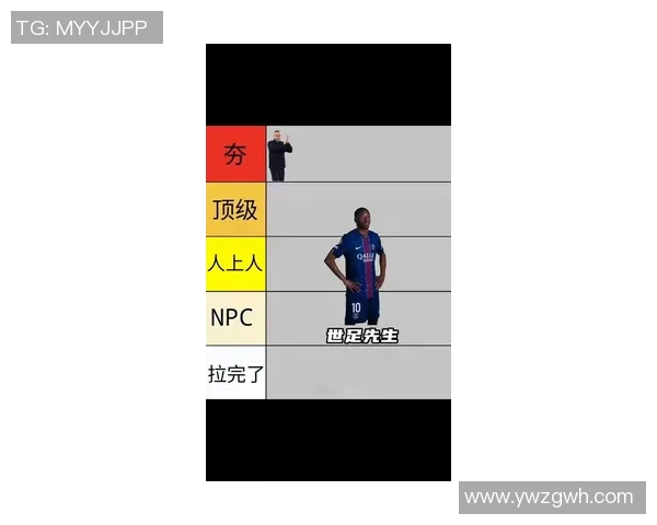 裁判对足球明星表现的精彩评价与深刻分析